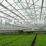 Commercial Greenhouses China thumbnail-2