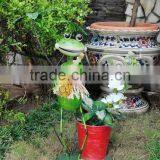 Hawaiin Frog With Pot thumbnail-1