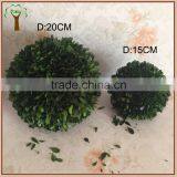 Preservative Boxwood Ball and Preseved Ball Topairy for America Markets thumbnail-2