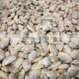 FROZEN YELLOW CLAM MEAT BABY CLAM MEAT IN BULK PACK thumbnail-1