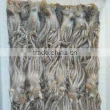 Frozen Squid Head thumbnail-2