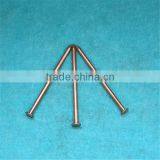 Concrete Brass Nail thumbnail-5