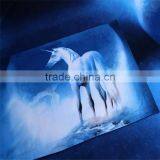 Home Tetiles, 2016 New Style Galay 3D 4pcs Bedding Set,of Duvet Cover Bed Sheet Pillowcase, Bedclothes,Queen Size thumbnail-5