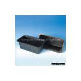 Salad Boxes thumbnail-1