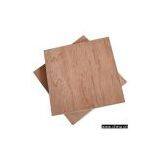 Sell Poplar Core, Bingtangor Plywood thumbnail-1