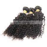 100% Natural Indian Real Hair, Afro Kinky Curly 100% Indian Human Hair Extensions thumbnail-3