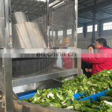 SS304 /316 Fully Automatic Good Quality Fruit Vegetable Washing Machine thumbnail-4