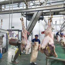 Goat Slaughter Lamb Skinning Machine Sheep Slaughterhouse For Slaughtering thumbnail-3