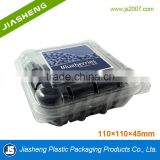 125g clear plastic blister blueberry packaging container /tray with lids