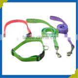 Manufacturer Customized Pet Collars Leashes Type Sublimation Polyester Webbing Dog Collar Leash thumbnail-2