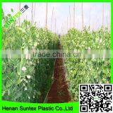 SUPER Plastic Garden Mesh for Growing Plants Support thumbnail-4