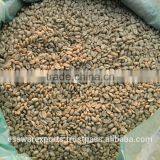 Raw Ground Arabica Coffee - Premium Grade thumbnail-2