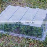 Bell Cloche thumbnail-1