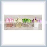Boutique decorative flower pot,N11-214,small plant/artificial foliage/decorative flowers,decorative flower for layout