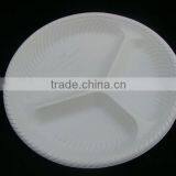 Biodegradable Disposable Tableware