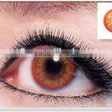 Funky Design Vampire Crazy Contact Lens/horrific and Mysterious Eyes Contact Lens/amazing and Best Selling thumbnail-1