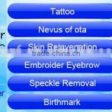 2016 Anybeauty F12 Tattoo Removal Laser Device thumbnail-5