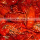 Frozen Crawfish Fish Seafood thumbnail-1