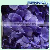 New products 2016 varieties preserved flower European snowball hydrangeas for wholesale price