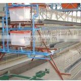 automatic chicken layer cage/chicken egg poultry farm equipment