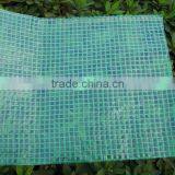 Clear Vinyl pe Coating Material pe Leno Tarpaulin Sheet thumbnail-1