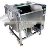 Ginger, Ginger, Ginger, Ginger, Ginger, Ginger, Ginger, Ginger, Ginger, Ginger, Ginger, Ginger, Ginger, Ginger, Cleaning, Peelin thumbnail-2