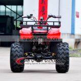 800/1000w 60V Electric Atv With CE thumbnail-2