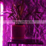 MarsHydro LED Grow Bar Grow Strip IP65 Waterproof Led Grow Light Bar Full Spectrum thumbnail-5