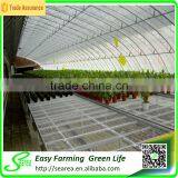 Solar Pvc Greenhouse Covering Material thumbnail-5