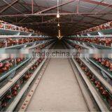 China Steel Structure Chicken House thumbnail-3