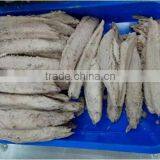 Double Clean Frozen Precooked Yellowfin Tuna Loin thumbnail-1