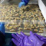 IQF Surrf Clam/short Necked Clam Meat thumbnail-5