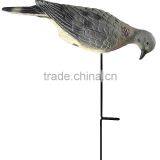 Feeding Mourning Dove Dedoys With Stake thumbnail-4