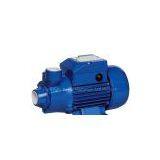 QB60 Clean Water Pump thumbnail-1