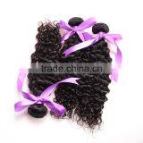 Mongolian Kinky Curly Hair Extension for Black Women 4c Afro Kinky Curly Human Hair Weave thumbnail-1