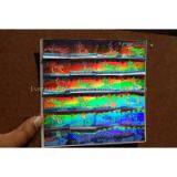 Flip Flop Hologram thumbnail-1