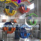 Children Ferris Wheel(U-BR-025-B)