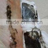 Improves Immunity Foot Patch for Home Use thumbnail-2