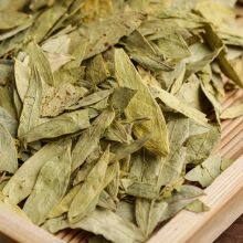 Senna Leaf thumbnail-5