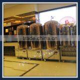 300L Restaurant Beer Brewing Equipment thumbnail-1
