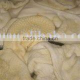 Frozen Beef Tripe & Honeycomb thumbnail-1