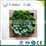 Outdoor WPC Flower Pot Composite Garden Pot thumbnail-5