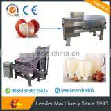 Leader Stainless Steel Fruit Pulp Line for Litchi With CE & ISO thumbnail-1
