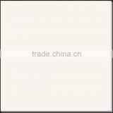 60x60cm Clean Rectified Polished Porcelain Tile in Tiles thumbnail-1