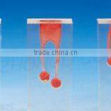 Dental Root Canal Surgery Teeth Model S6 for Teaching thumbnail-1