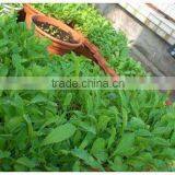 High Viscosity Super Absorbent Polymer Thickener Chemicals for Agriculture thumbnail-3