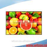 7inch 500nits 1280*800 Lvds Interface Full Viewing Angle IPS Module Display