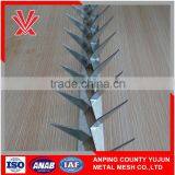 High Securiy Galvanized Surface Treatment Anti-climb Wall Spikes