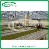 Ebb and Flow Seeding Beds in Commercial Greenhouse thumbnail-4