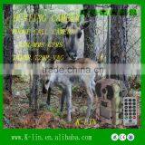 1080P HD GPRS MMS Hunting Camera With External Antenna Video +Audio+Image 940NM